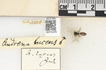 Media type: image;   Entomology 771279 Aspect: Labels